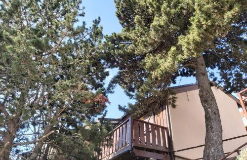 chalet de l ours - Foto 30