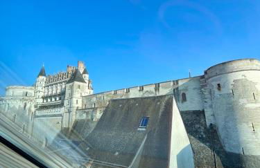 Vue incroyable Loire et Chateau - Foto 10