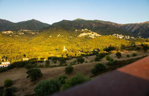 APICULTEUR - Foto 20