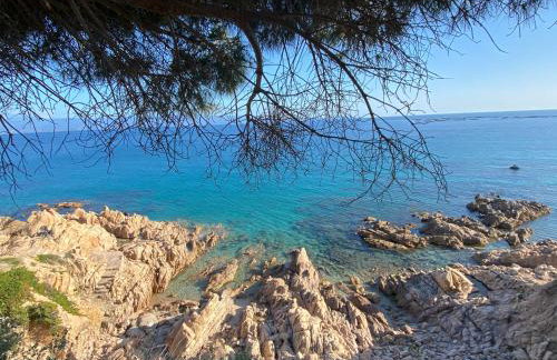 Appartement Marinella route des Sanguinaires Corse - Foto 29