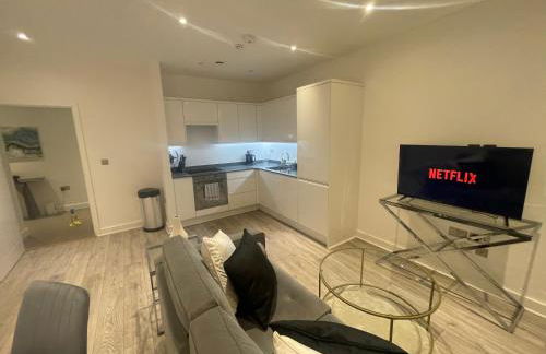 Superior Large Suite Luxury Living City Apartment, 2 Kingsize Bedrooms Business Suite - Free WiFi - Foto 19