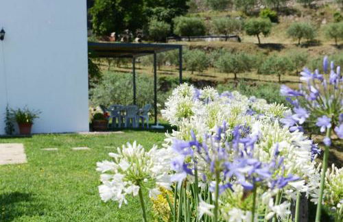 Casa dos Becos - Foto 34