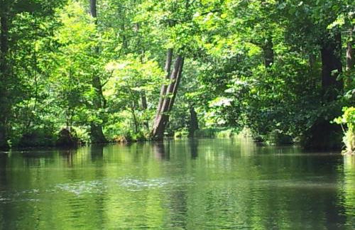 Doppelzimmer im Spreewald - Foto 20