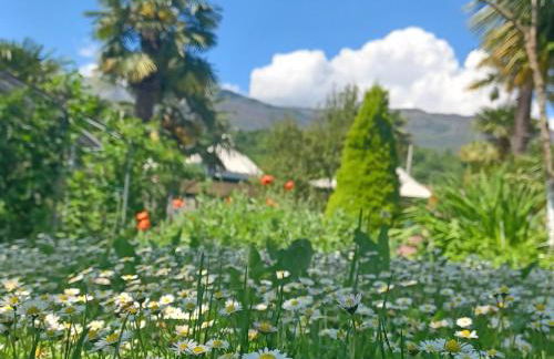 Casa colibrì - Foto 6