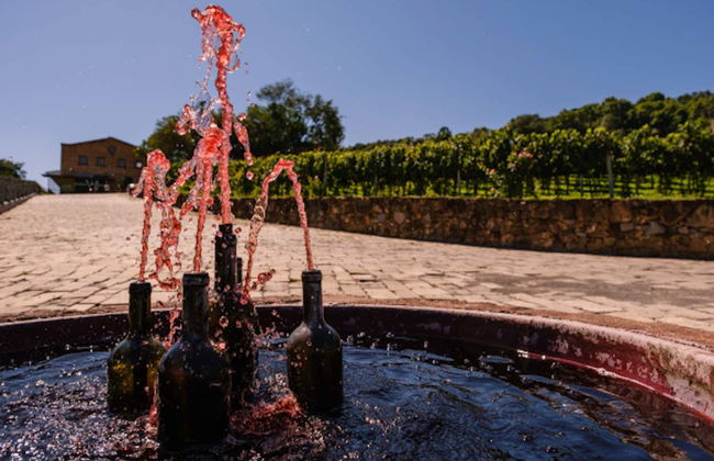 Tour del vino por el Vale dos Vinhedos - Foto 3