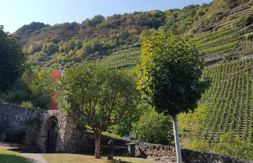 Ferienwohnung Julia - Foto 33