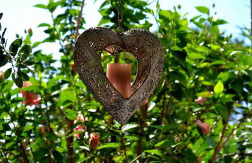 Casa d' Avó Zeza - Foto 10