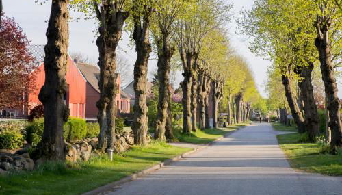 Ferienhaus Wiesenkiek - Bauernhof Hopp Vadersdorf - Foto 4