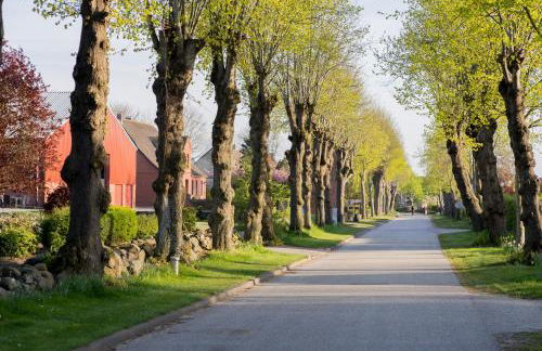 Ferienwohnung Fachwerkhaus - Westen oben - Bauernhof Hopp Vadersdorf - Foto 14