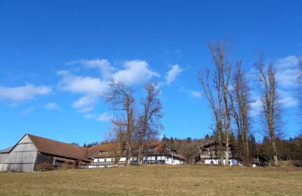 Berg-Panorama-Ferienwohnungen Gut-Lichtenau - Foto 43