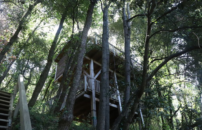 Orion Tree houses - Foto 51