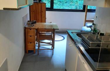 Studio 19 m2 à louer au Mont-Dore - Foto 1