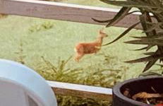 Luftkurort, Perle des Neckartals - Photo 5