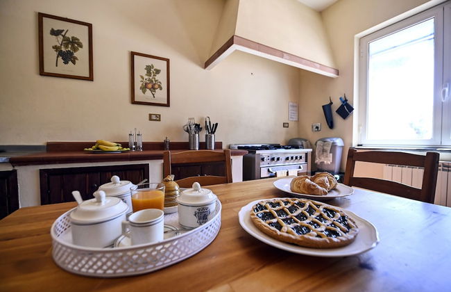 Tenuta Santa Cristina - Foto 24