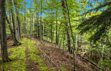 Thorne Swift Lakehouse - Foto 40