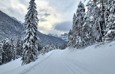 Chalet Camporosso - Foto 13