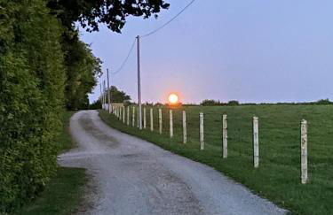 Ferme de Riou - Foto 8