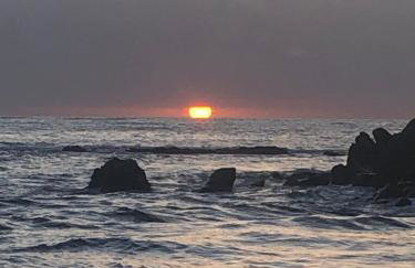 Maison typique Corse écologique - Photo 48