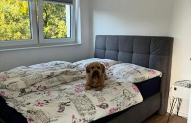 Chalet Mühlenhof - Foto 8