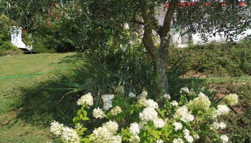 Casa Fellini - Foto 5