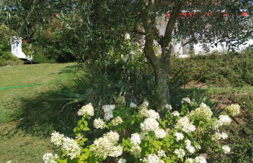 Casa Fellini - Foto 5