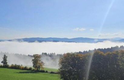 Ferienwohnung Goldfasan - Foto 32