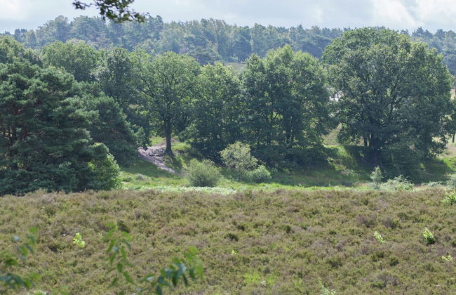 Well Furnished Chalet with Garden near Brunssummerheide - Photo 23