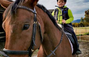 Woferlhof, Ferienhof Boxhorn - Foto 3