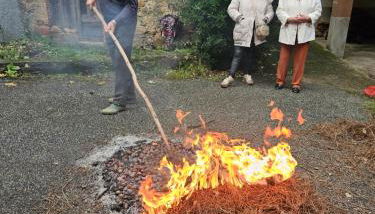 Casa da Póvoa - Foto 3
