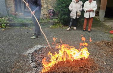 Casa da Póvoa - Foto 3