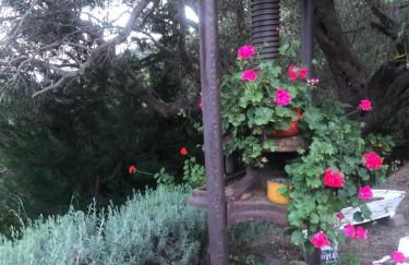 Apagio Othonoi Car Included - Foto 16