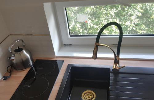 APARTAMENTY ZIELONY KAMELEON - Foto 65