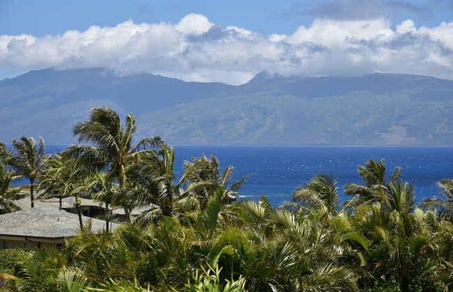 Kapalua Ridge Villas 311 - Photo 33