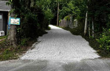 Galloway Cottage- Bikes & Firepit - Foto 20