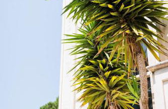 Residence Maison Raha - Photo 76