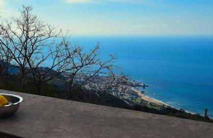 Agriturismo Le Agavi - Foto 37