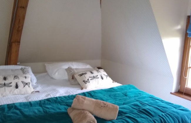 Domaine de la Vaudourière - Photo 17