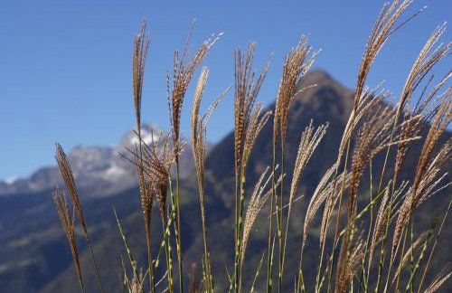 Hotel - Appartements Schmied Hans - Photo 65
