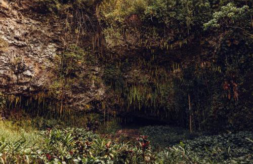 Banyan Harbor Resort - Foto 149