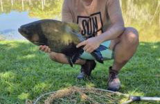 Chácara Pedacinho do Céu - Foto 8