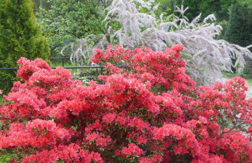 Casa Karp "Maisonette" - Foto 17