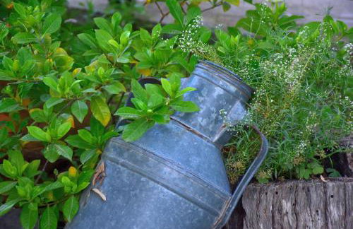 Mirsini Apartments - Foto 51