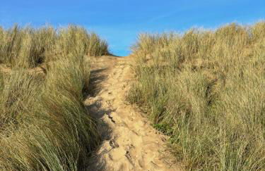 Little Kestrel Cabin - Photo 49