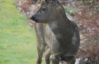 Coach House at The Glen - Foto 21