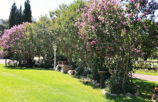 Pine Tree Lodge - Foto 49