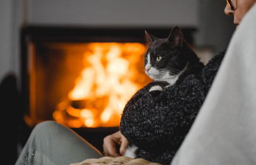 Kiton House - Foto 30