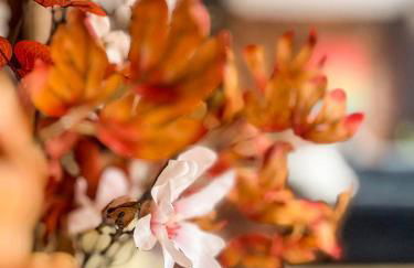 Stylish Loft Apartament - City Center L1 - Foto 11