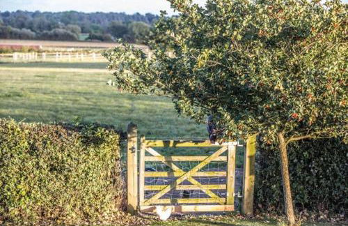 Doeling Barcombe - Foto 13