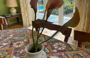 Green paradise with Etna view - Foto 75