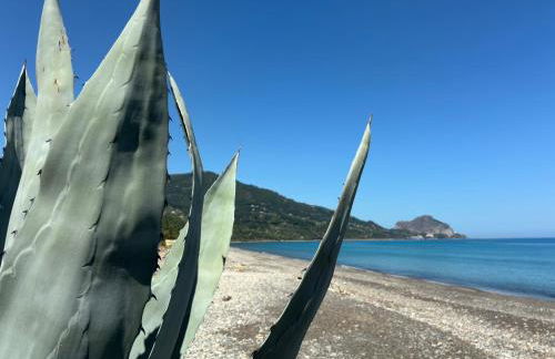 inKanto Room - Foto 24